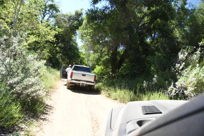 DSC_5924 (Large).JPG